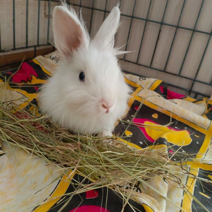 Голубоглазый блондин