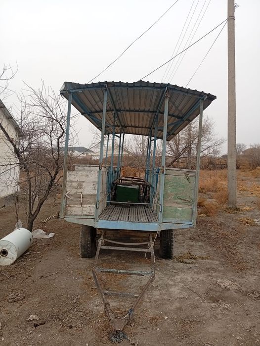 Прицеп для Пасики