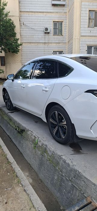 Byd chazor 120 tali SOTILADI