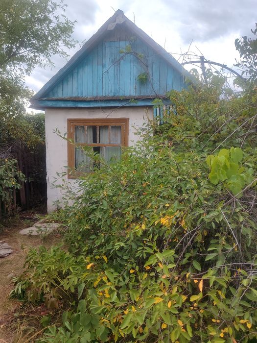 ЯБЛОНЬКА Есть торг продам дачу