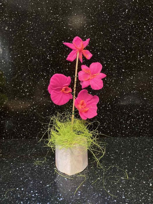 8-ми Март.Сапунени Орхидеи