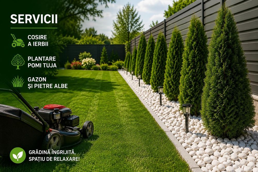 Curățare / Cosire / Plantare / Îngrijrire