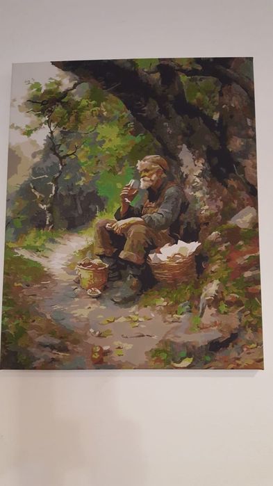 Tablouri pictate pe numere