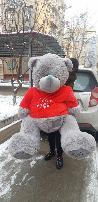 Teddi Teddy orginal teddiylar