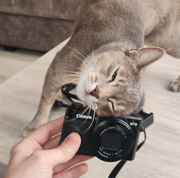 Canon g7x mark 2 модный фотоаппарат G7 x G 7x