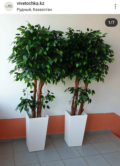 Искусственные Деревья (Костанай )