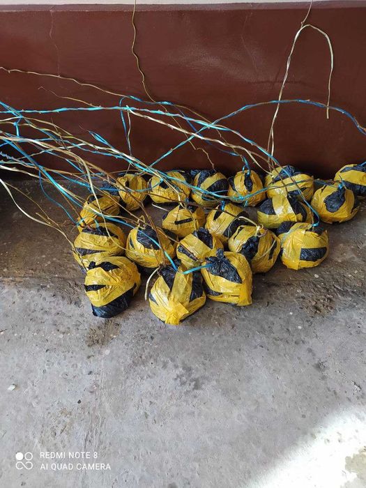 Лимон(мэйер)/киви/японский урюк. Limon/kivi/greyfrut/yapon u