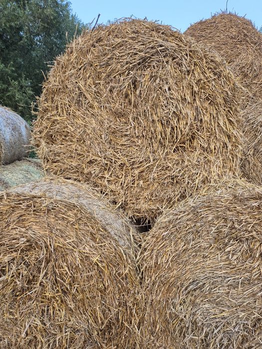 Baloți Lucernă,Paie de Orz,Paie de Grâu