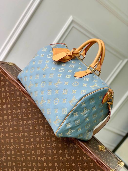 Geanta Louis Vuitton Speedy
