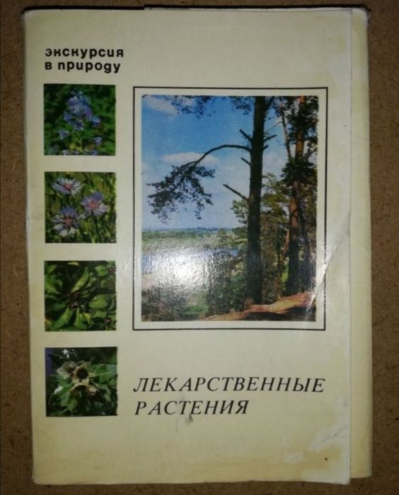 Открытки из коллекций русских  художников. Лекарственные растения.