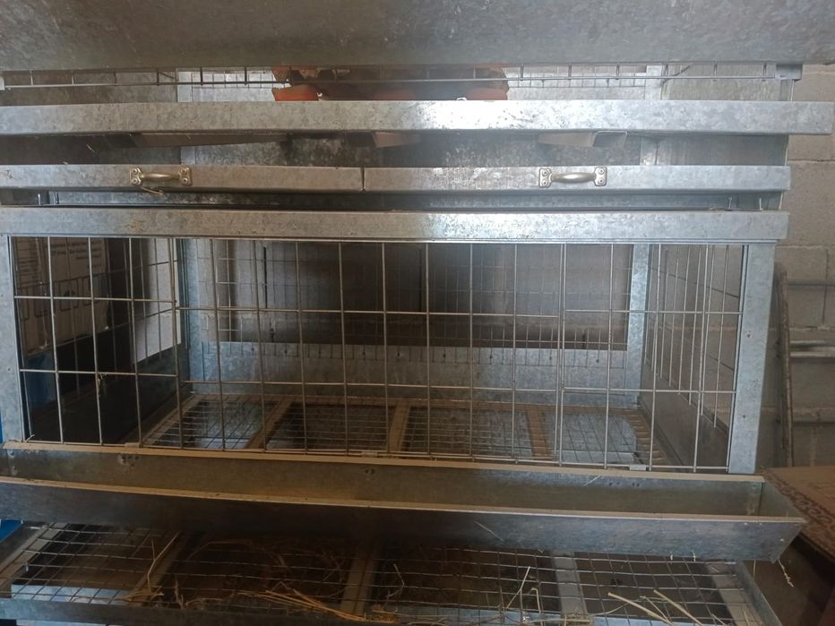 Клетки для кур несушек