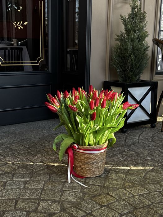 Тюльпаны по предзаказу Астана