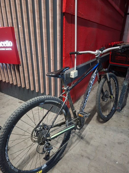 Cannondale trail 7 2019 HARDTAIL