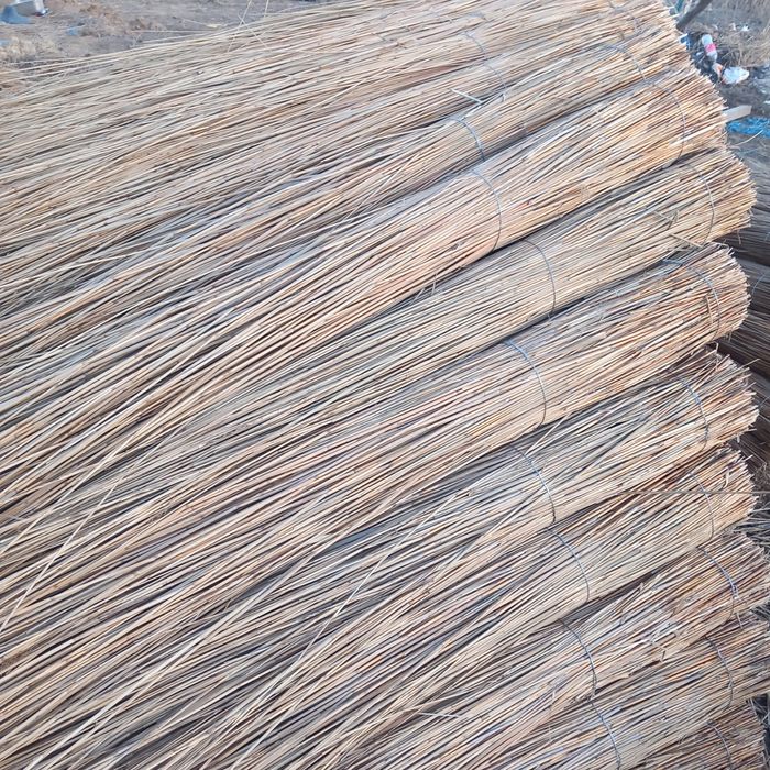 Vând stuf 2023/2024