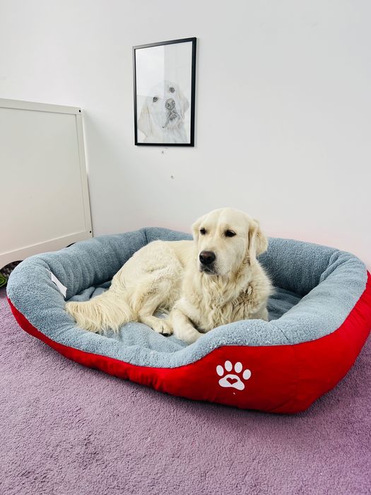 Легло за голямо куче с лапичка ХХЛ червен