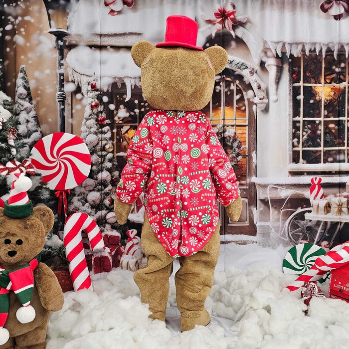 Costum Mascotă Urs de Crăciun Profesional, Mascotă Teddy Bear Crăciun, Cost Urs Evenimente, Mascotă Premium Handmade