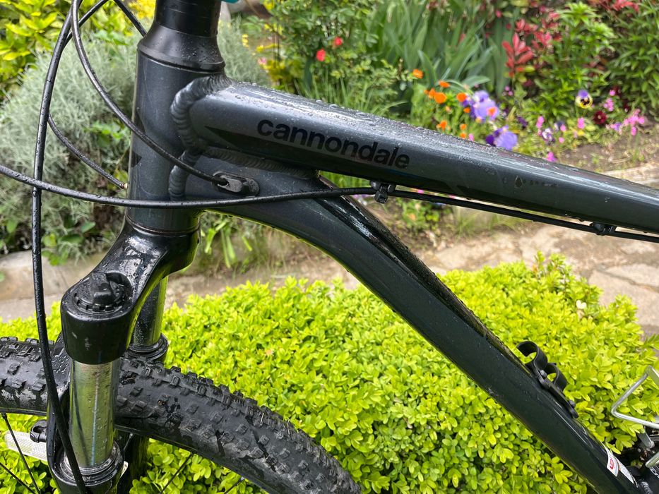 Cannondale Trail