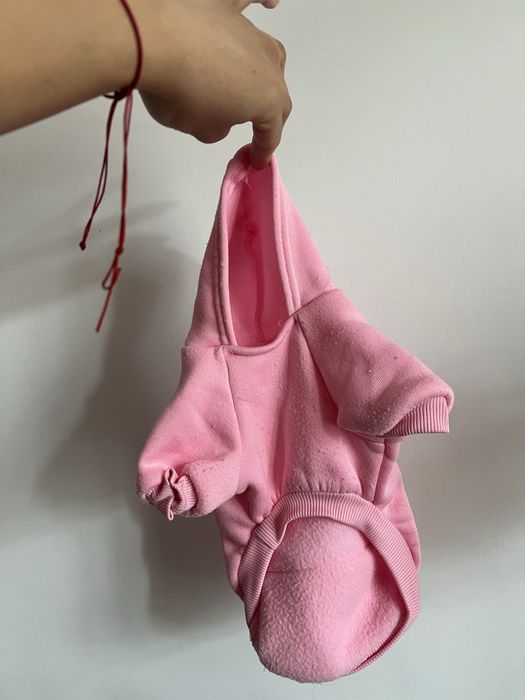 Одежда для собак