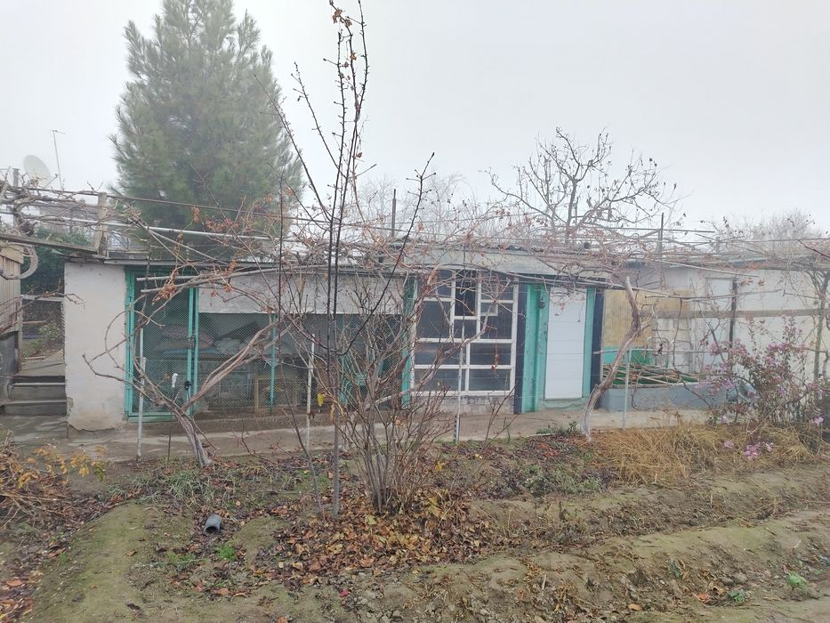 Дала ховли (дача)