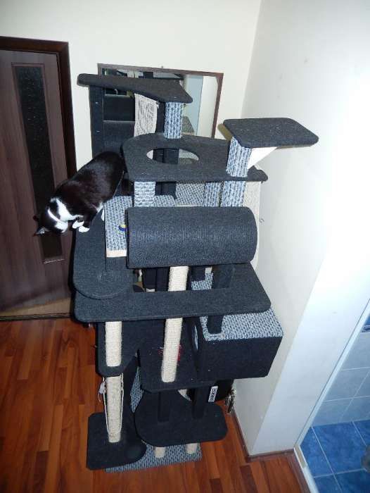 Ansamblu de joaca pentru pisici