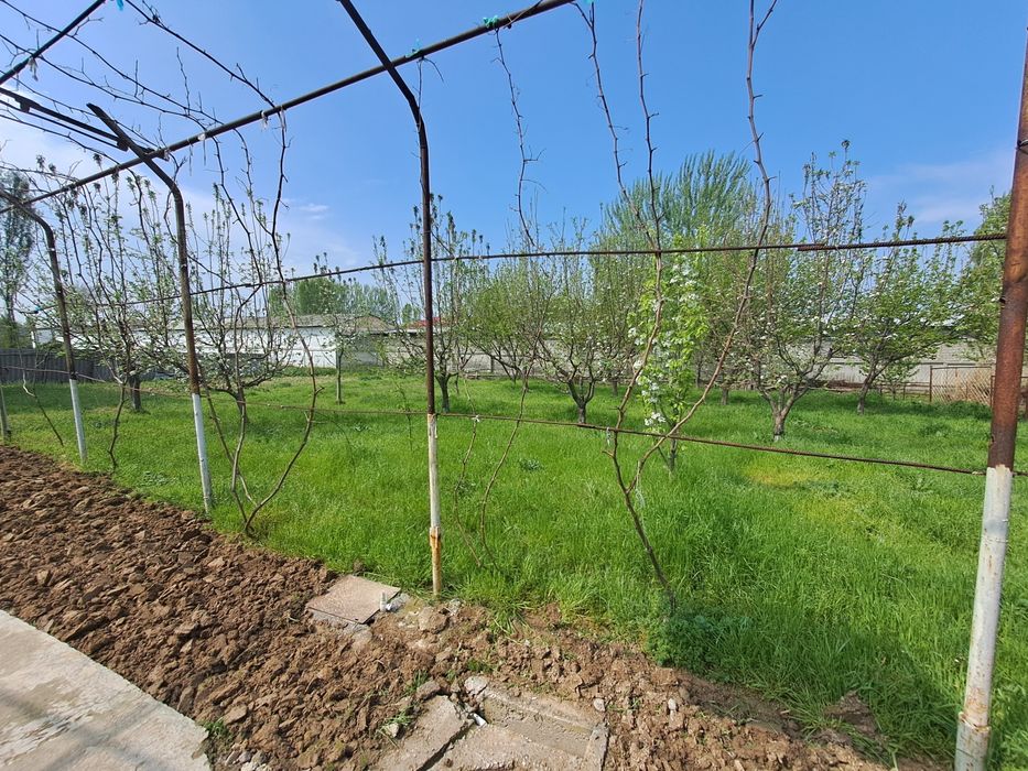 5 sotix yer sotiladi