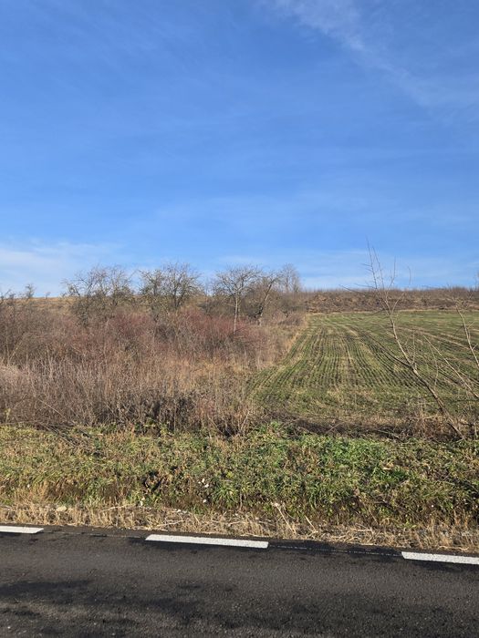 De vânzare doua hectare teren extravilan Corbita