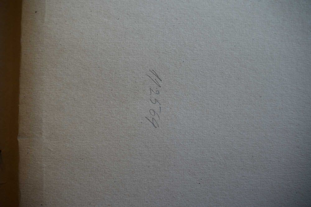 Tablou original N. Gangolea 38,5 x 33 cm ulei pe pânză
