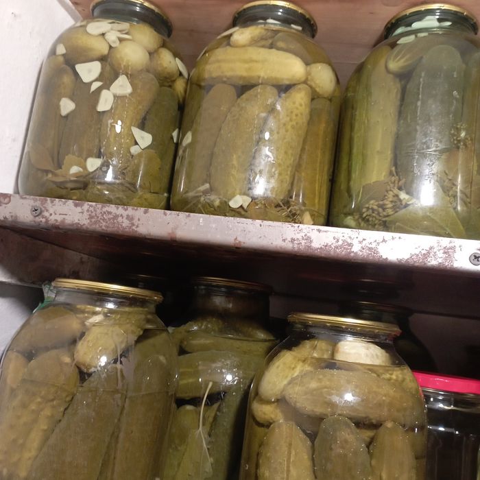 Соленья домашние