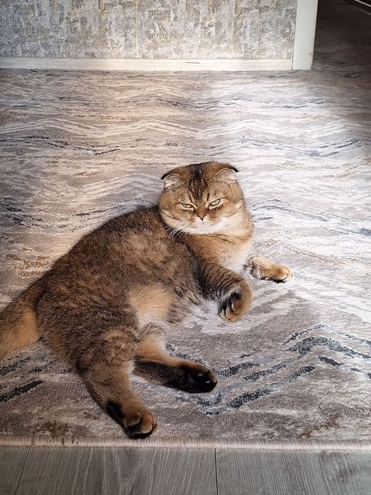 Vyazka qizlani uchrashuvga taklif qilamiza