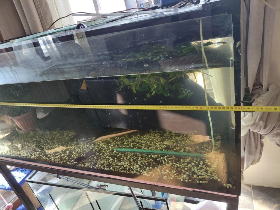 Аквариум 50. 60. 140.стоика 50. 80. 140.става за морски Аквариум