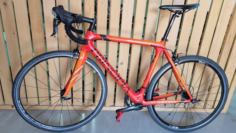 Cursiera carbon Principia
