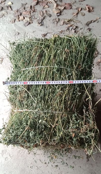 Пресс 38.000 шошилинг!!!