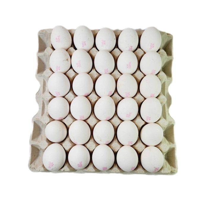 Яйцо тм Алсад и тм QarQus