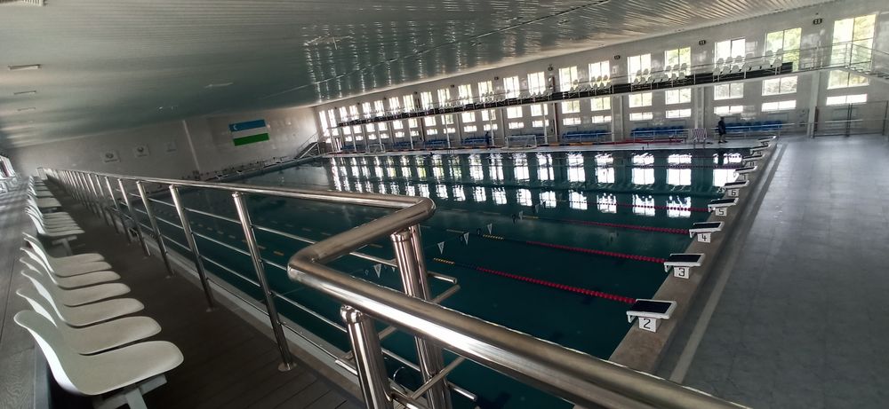 Катталар ва болалар учун сузиш машгулоти