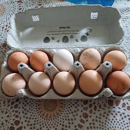 Ouă de țară de vânzare