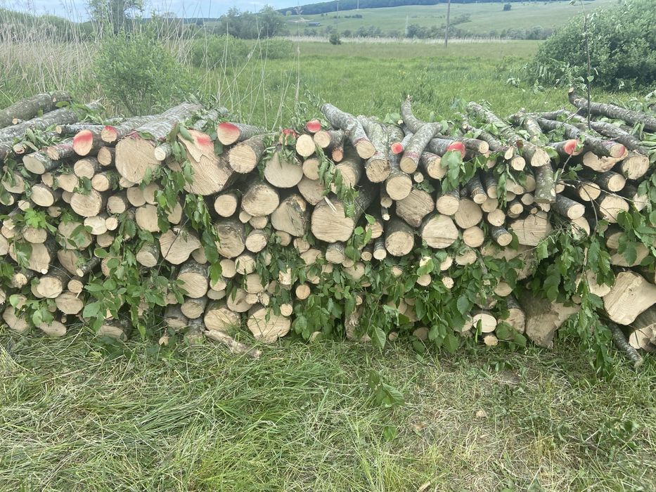 Lemne pentru foc