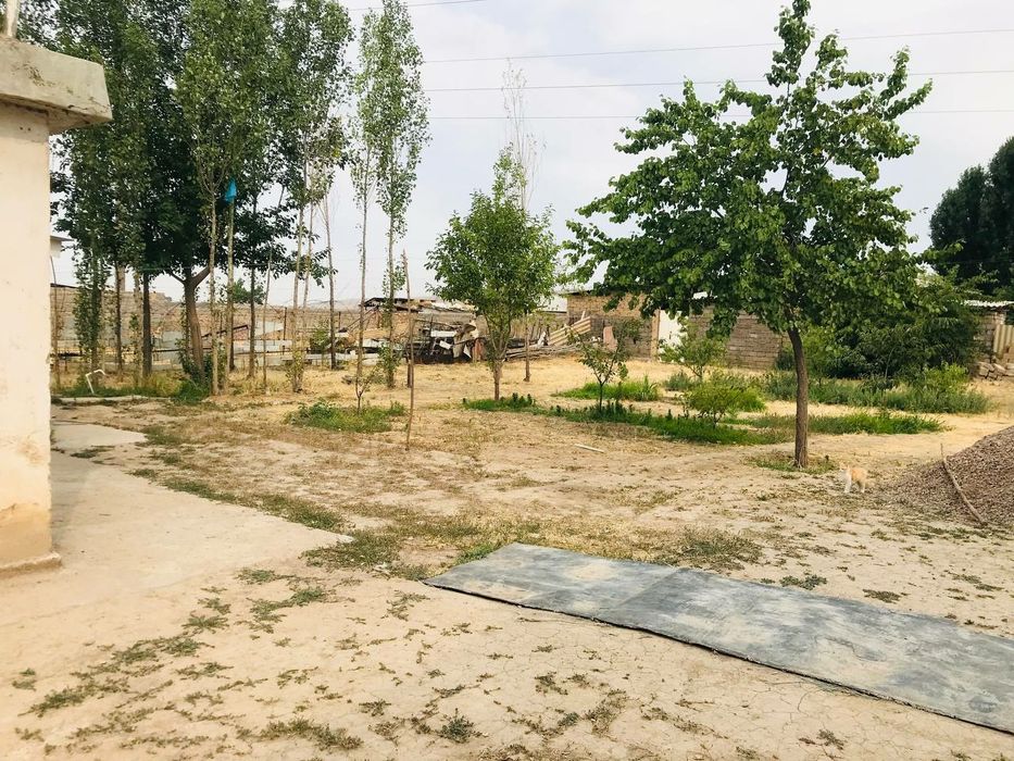 Olmaliq Uzumbog‘ tomonda