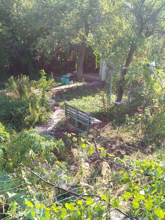 Продам, дом-дачу