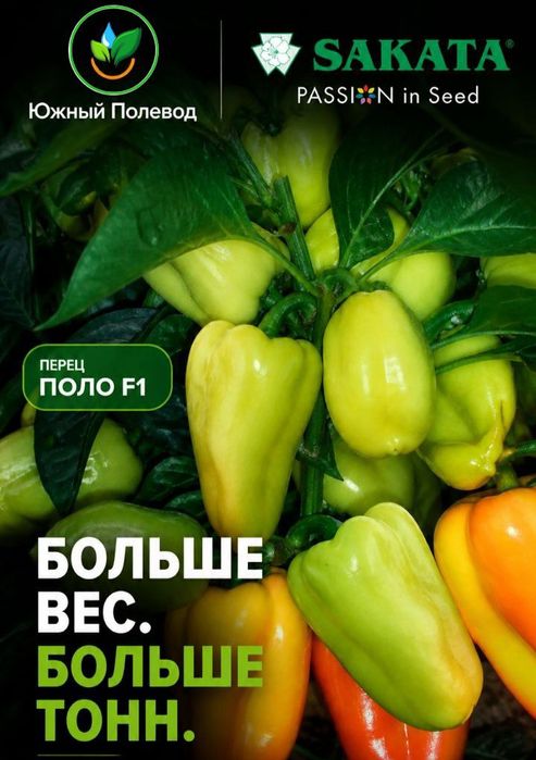 Сладкий перец Поло