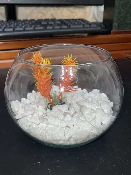 круглый аквариум