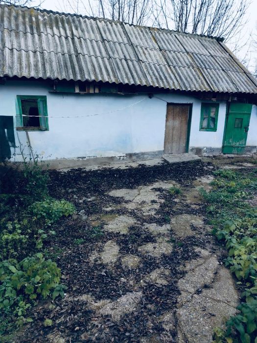 casa si padure de vanzare