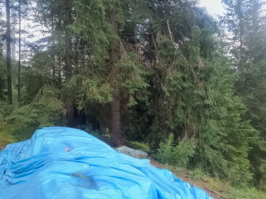 Proprietar vand pământ  extravilan.