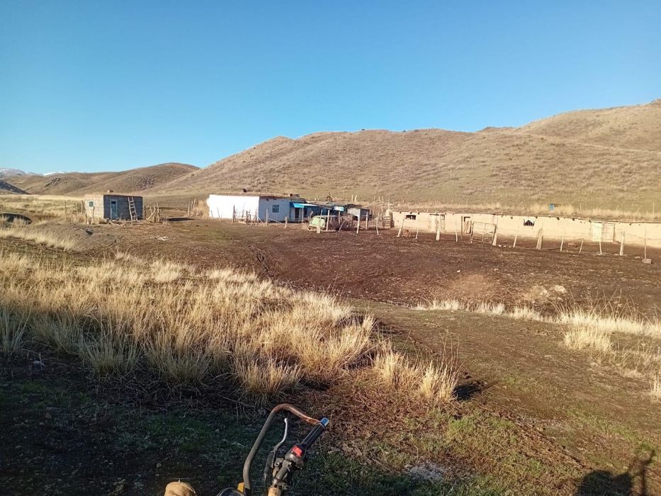 Фазенда (жер телімі) сатылады