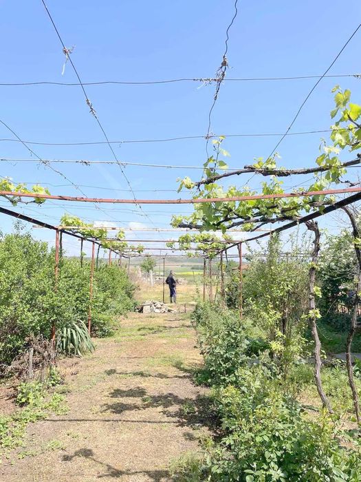 Продава се Къща в с. Цар Асен, Област Пазарджик - 168 кв.м за 262 €/кв.м - Снимка #9