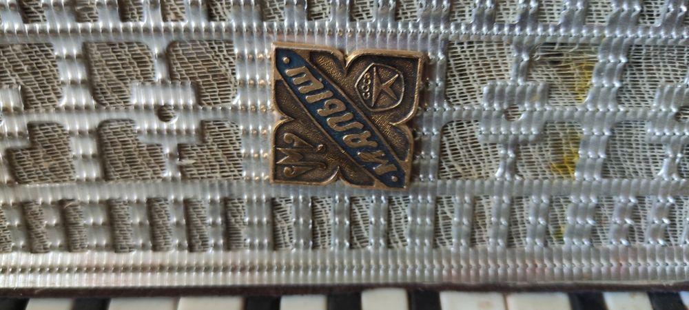 Детски акордеон в куфар