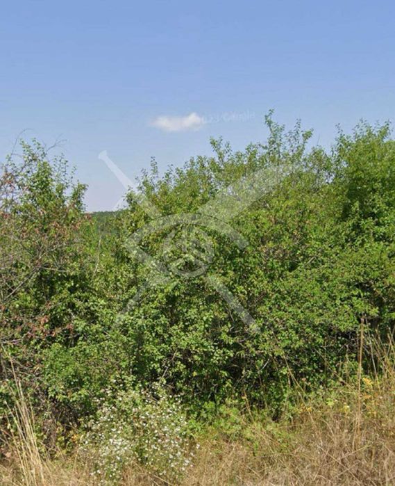 Продава се Парцел в с. Бяла вода, Област Бургас - 5000 кв.м за 18 €/кв.м - Снимка #1