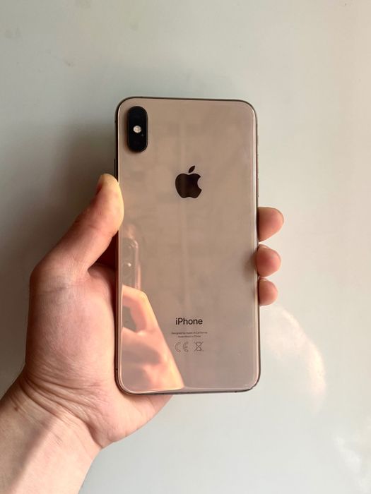iPhone XS Max 64GB 100%