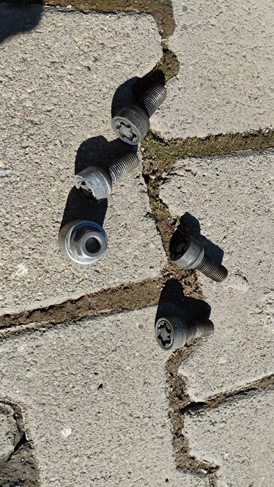 Prezoane antifurt Wag