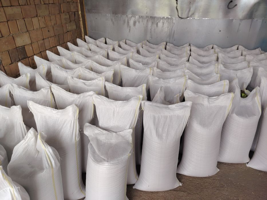 Porumb uscat ambalat în saci, și transport