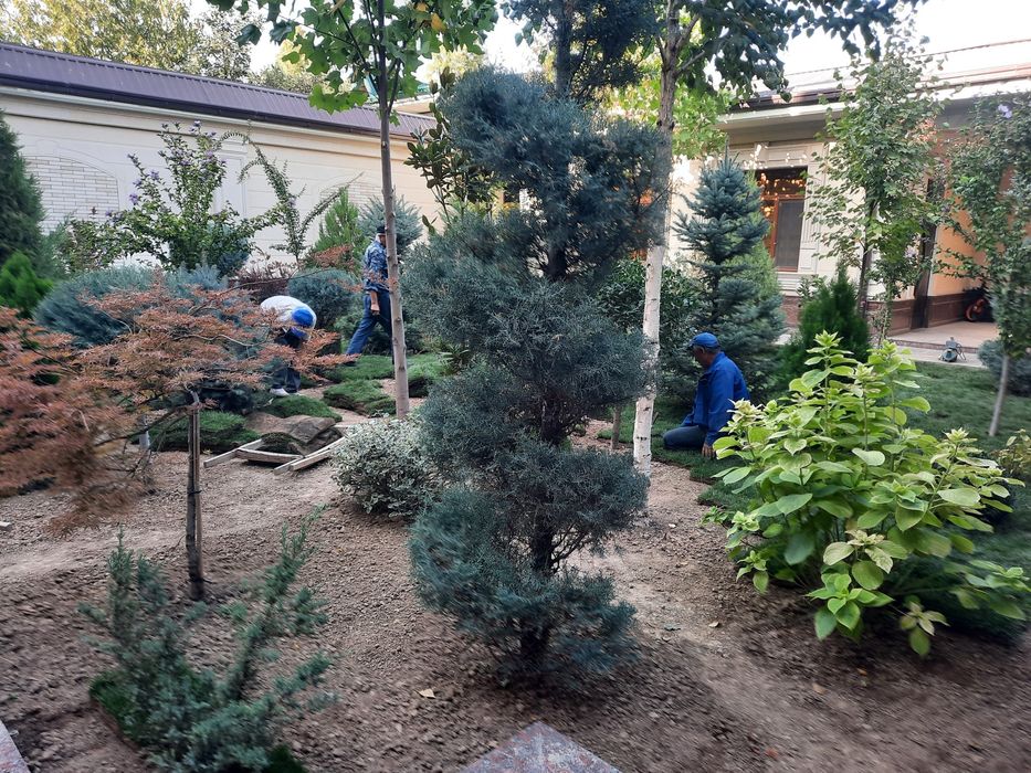 Полив газон. Автополив. Умный полив. Газон